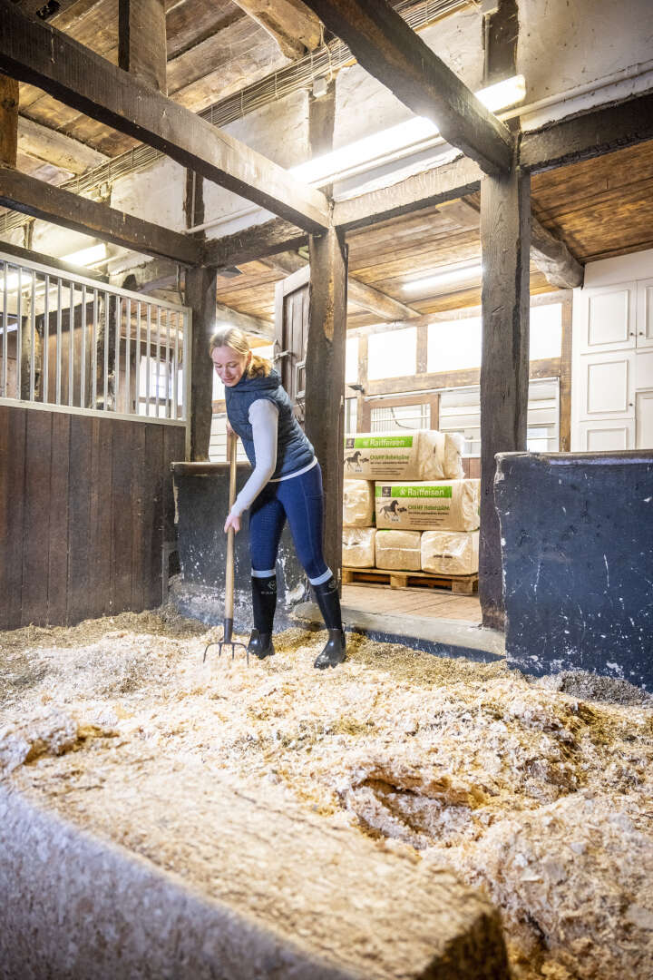 KANTRIE Hobelspäne Champ